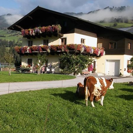 Rieserhof/Fam. Meissnitzer Taxenbach Εξωτερικό φωτογραφία