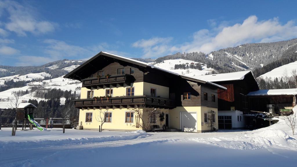 Rieserhof/Fam. Meissnitzer Taxenbach Εξωτερικό φωτογραφία