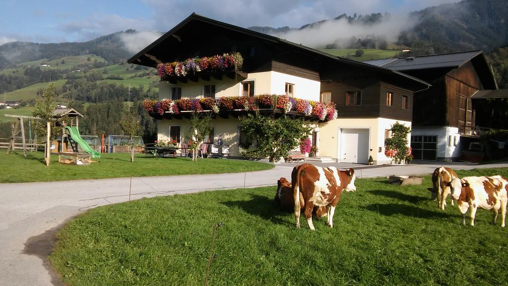 Rieserhof/Fam. Meissnitzer Taxenbach Εξωτερικό φωτογραφία