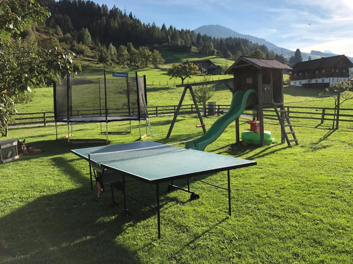 Rieserhof/Fam. Meissnitzer Taxenbach Εξωτερικό φωτογραφία