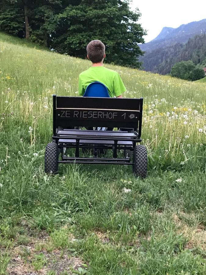 Rieserhof/Fam. Meissnitzer Taxenbach Εξωτερικό φωτογραφία